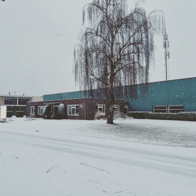 Goed begin na de Kerst met een witte wereld!